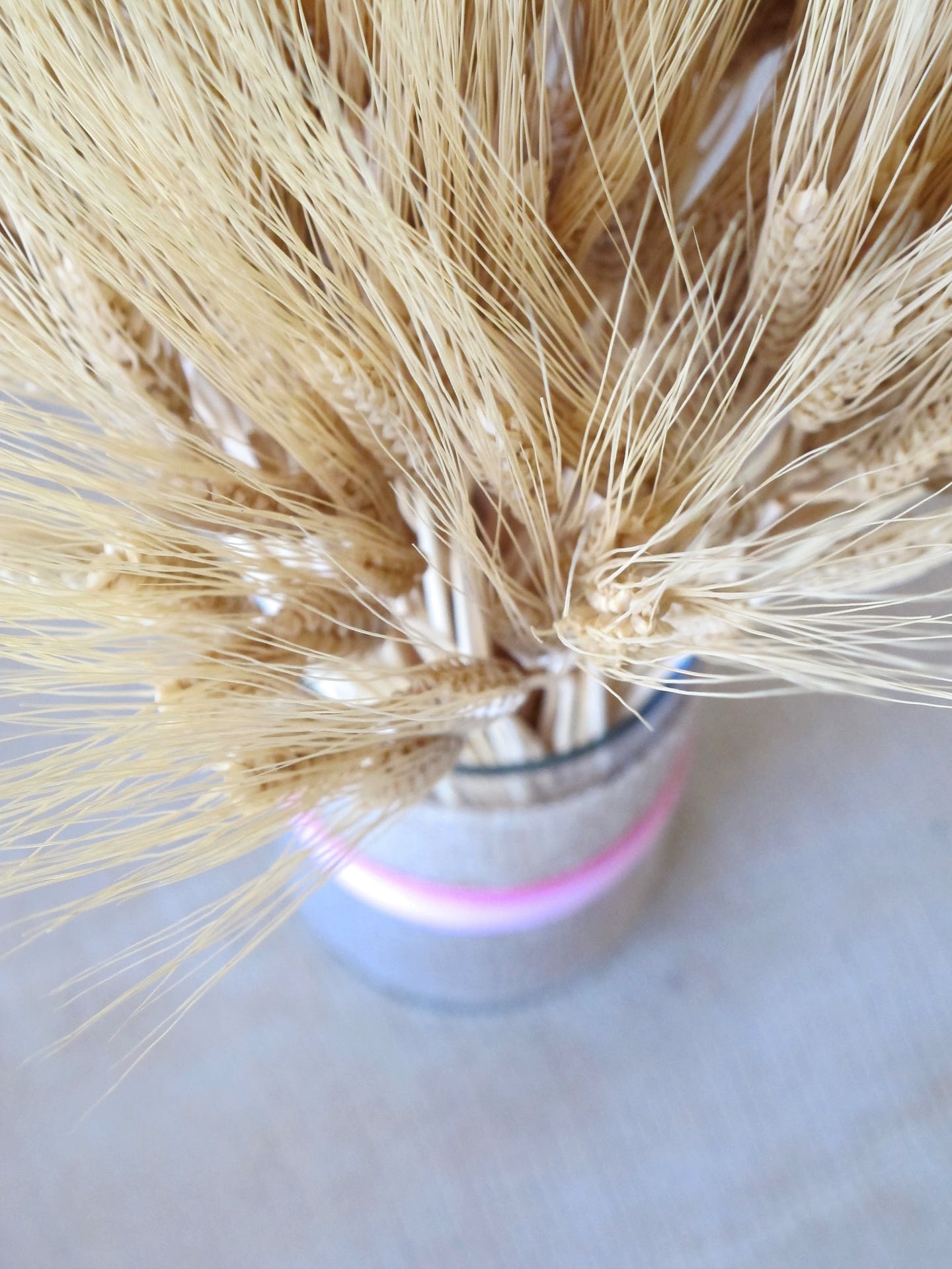 Mega Challah Bake – Wheat Bundles! – CHANA'S ART ROOM
